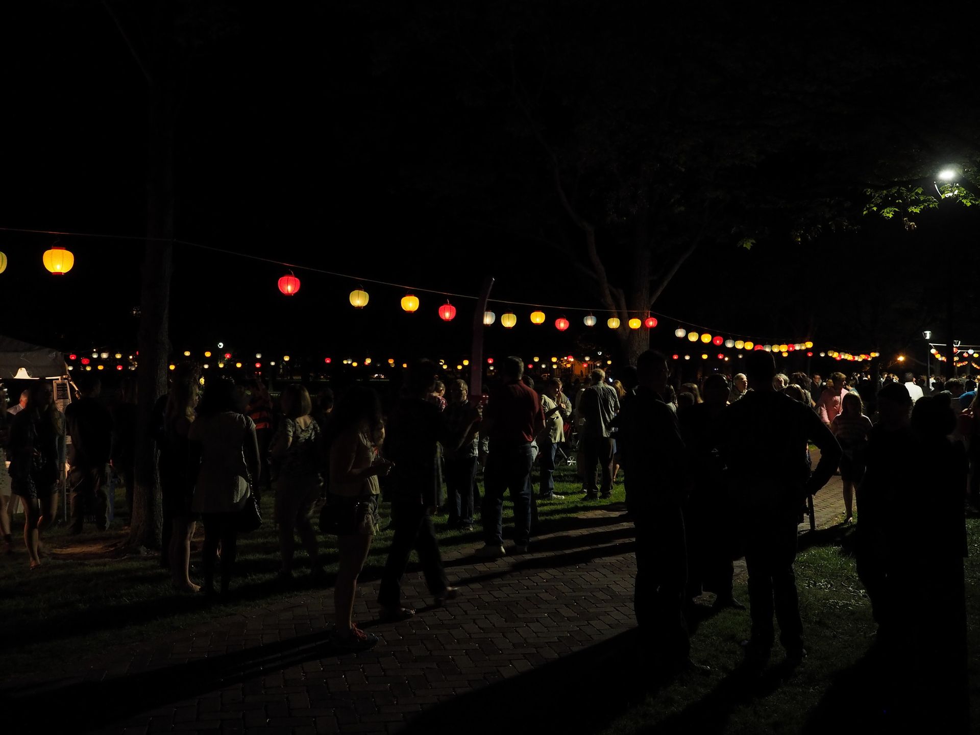 People stand in the grass at night