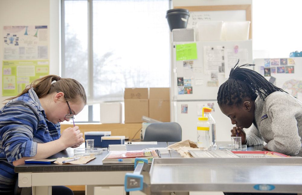 Izzy Schwob ‘21 (left) and Tyler Roberts ‘21 (right) mount specimens on slides in Associate Professor Tracie Paine's neuroscience lab.