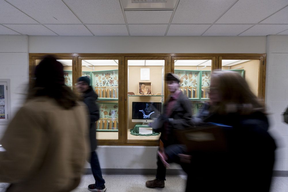 Students moving quickly down a hallway.