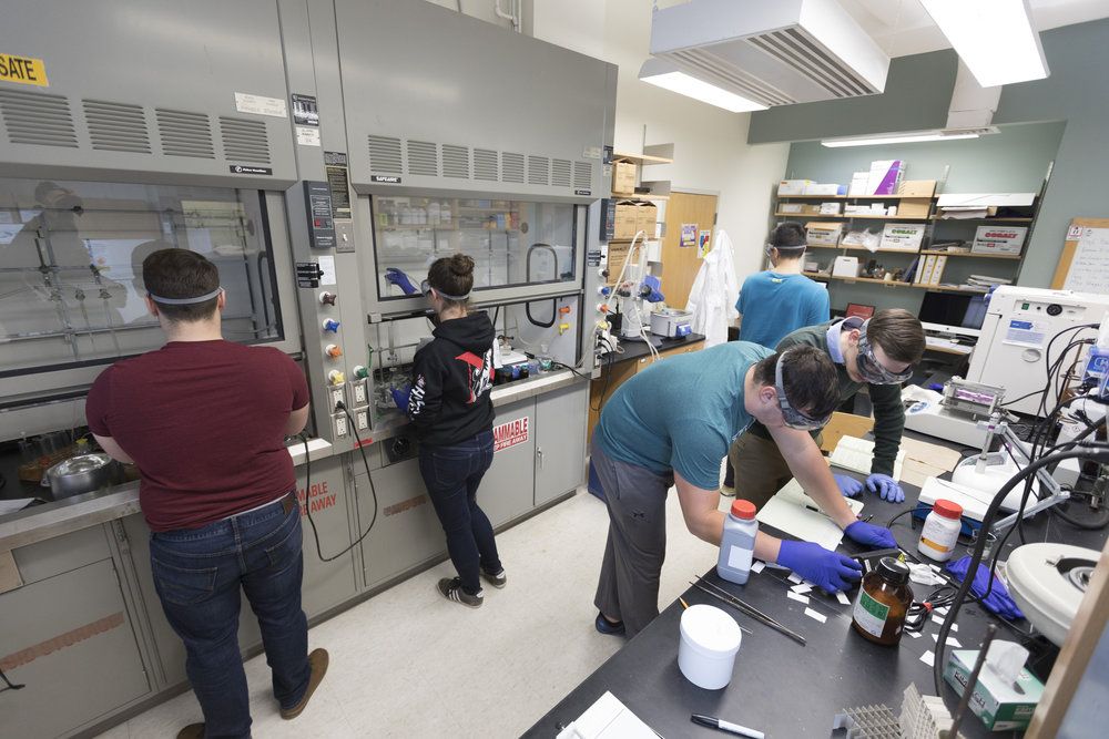Students in a chemistry/biochemistry lab.
