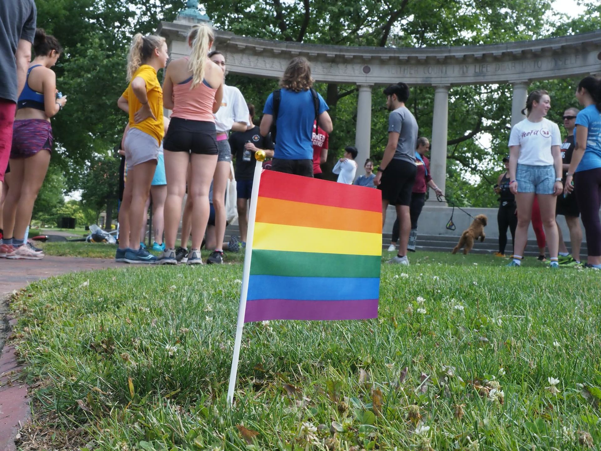 A small pride flag in the ground.