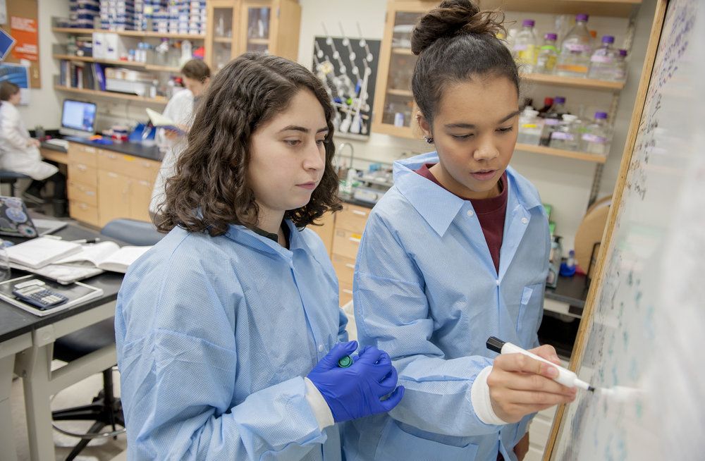 Two students write on a whiteboard.
