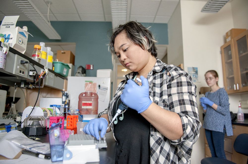 Lauren Fries ‘19, Mia Fox ‘21, Magdalen Chouinard ‘20, and Samantha Westeman ‘19 work on Alzheimer's research in Visiting Professor Monica Mariani's neuroscience lab.