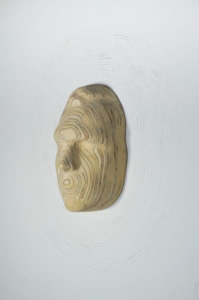 An impression of a face mounted on a wall 
