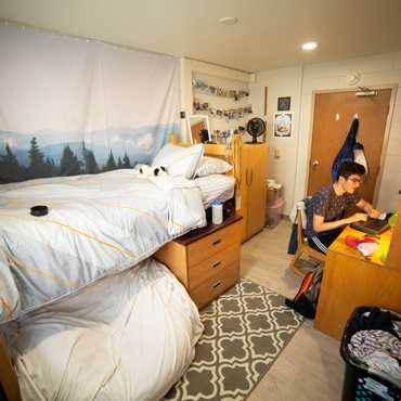 A landscape photo made into a tapestry hangs over a bed. 