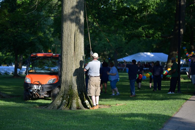 Illumination Oberlin Photo Stories