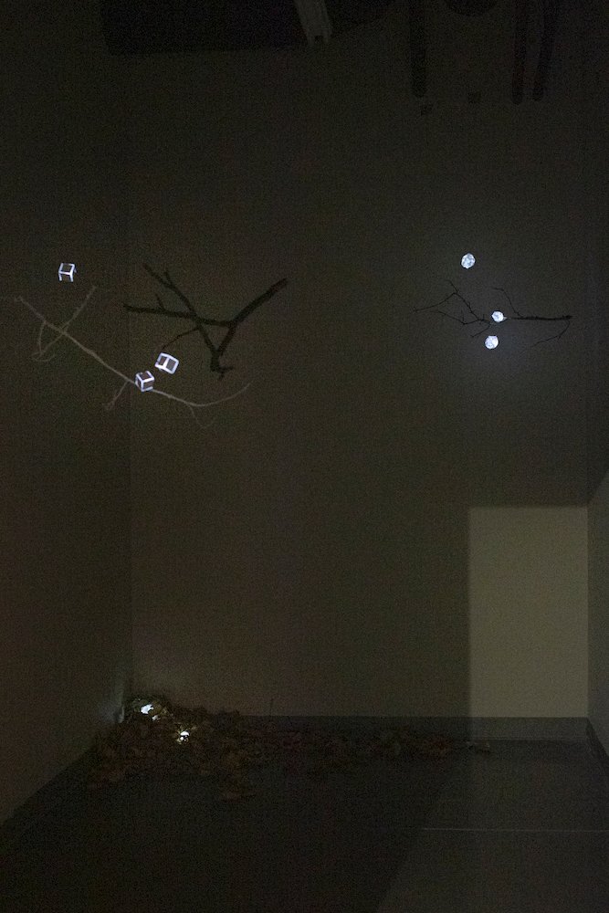 Things mounted to a wall with leaves on the floor and lights of netting on the branches.