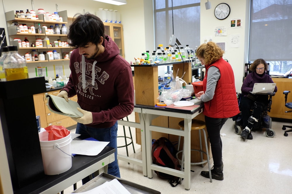 Toxic producing gene research is the focus in Associate Professor Laura Romberg’s biology lab.