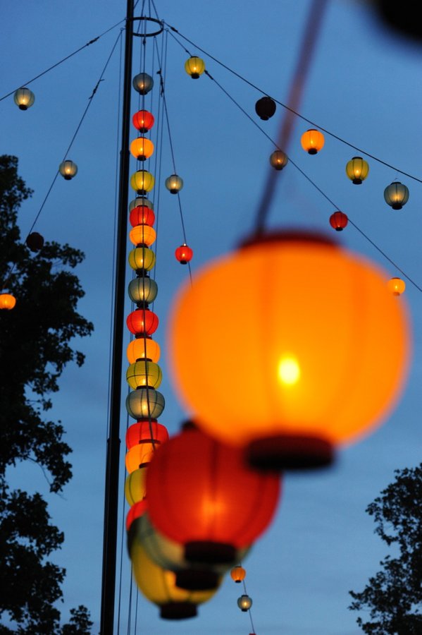 Illumination Oberlin Photo Stories