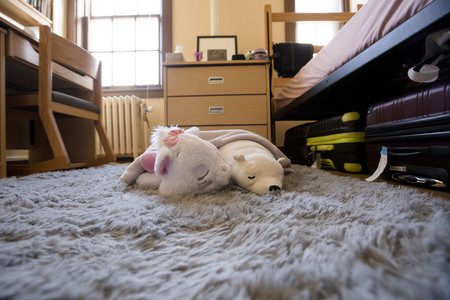 Two stuffed animals in a sleeping bag rest on a rug.