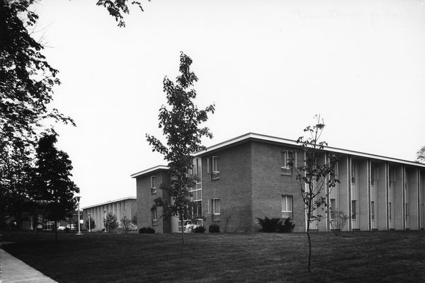 Freshly laid grass in front of The House.
