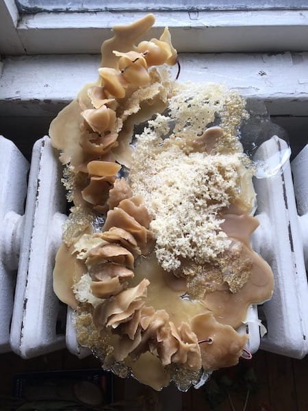 Wax pieces linked to strings sit on a large piece of flat wax.