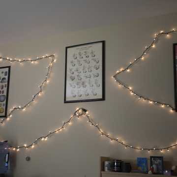 String lights in a wall.