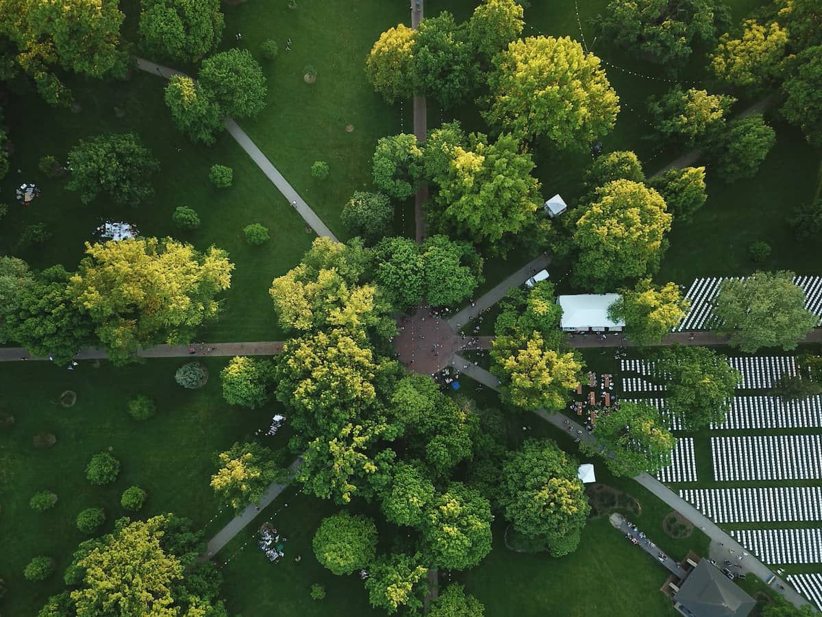A picture high above Tappan Square that shows trees, people, and lanterns.