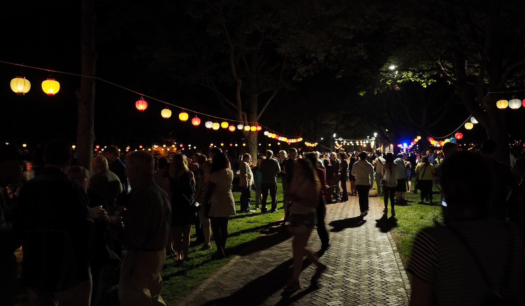 Illumination Oberlin Photo Stories