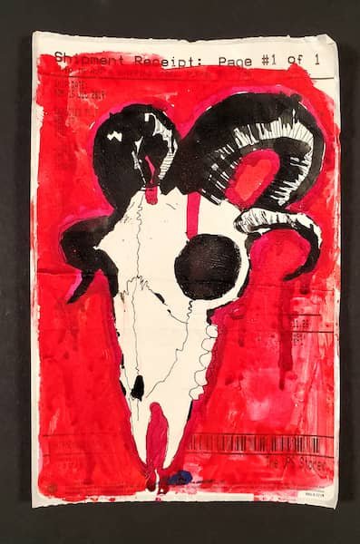 The skull of a an animal