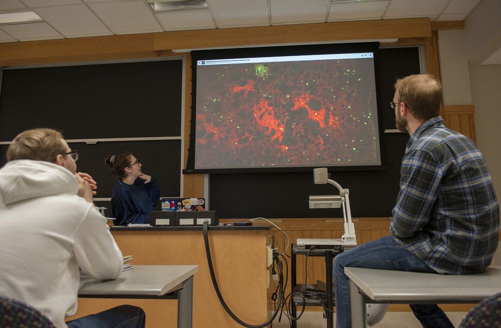 Students and teacher look at a slide on a large screen.