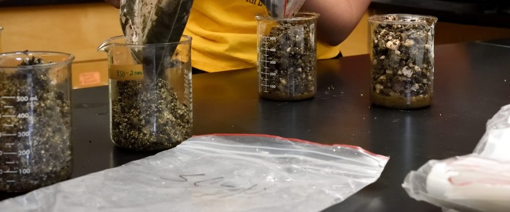 Soil samples in beakers.