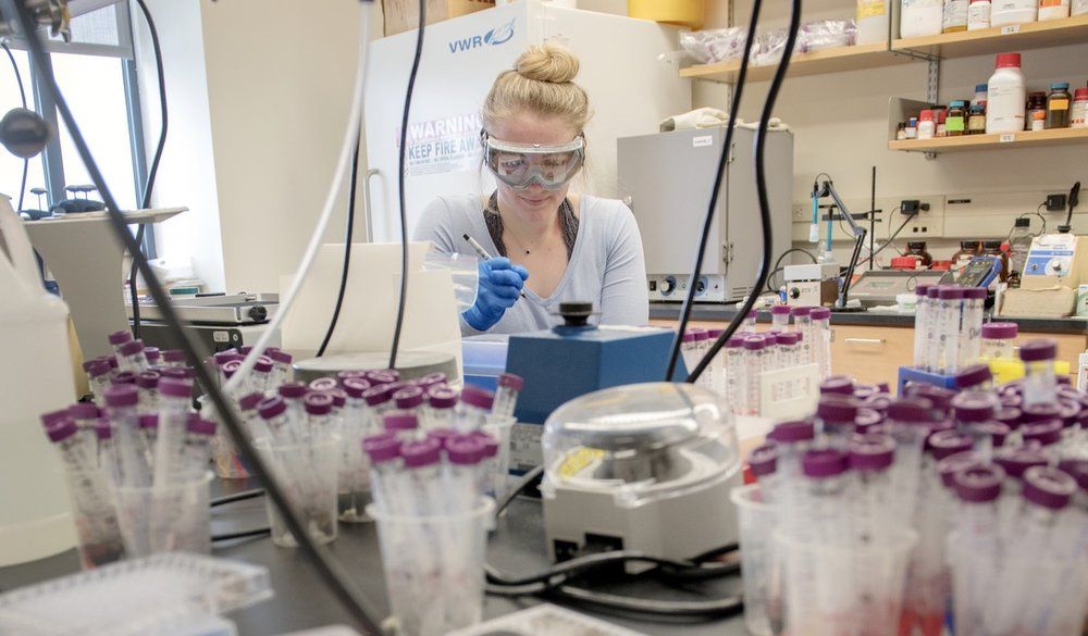 Biochemistry and history major Maddison Paladino ‘21 performs melanin research in Professor Jason Belitsky's chemistry lab.