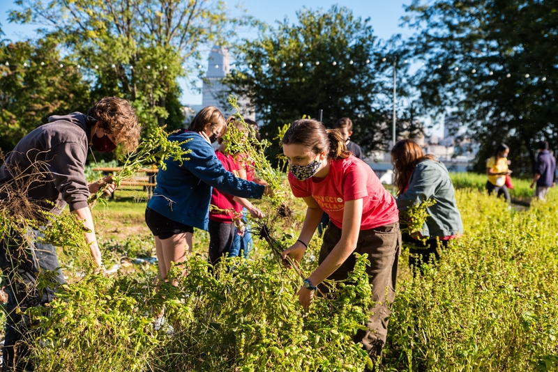 Students work in a city garden.