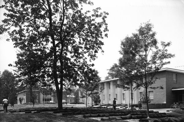 Sod being laid in front of the building.