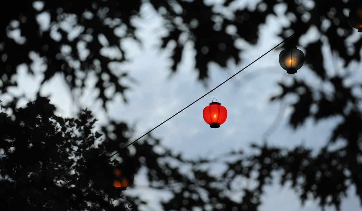 Three lanterns on string amidst leaves.