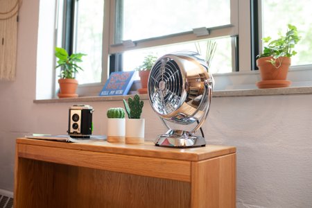 Two small cactus plants, a vintage camera, and chrome fan sit on a small pine bookcase..