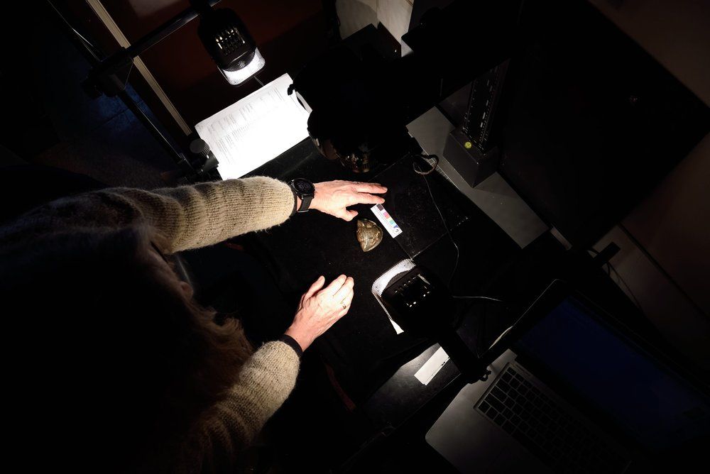 Professor of Geology Karla Hubbard catalogs specimens in her department's Geology Archive Room.